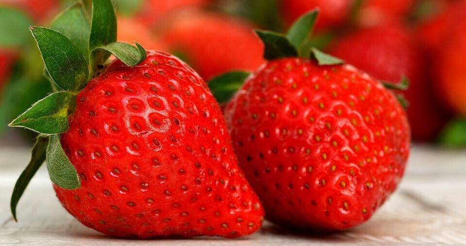 strawberries-3089148_960_720|24902_modal
